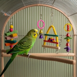 Category image: Bird Cage Accessories